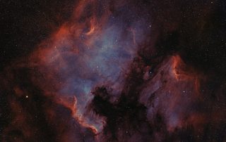 North America and the Pelican