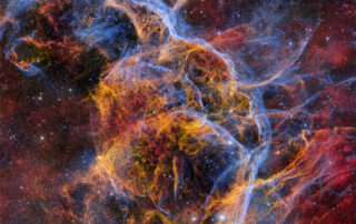 Filaments of the Vela Supernova Remnant