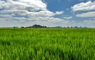 nasa-open-science-initiative-expands-openet-across-amazon-basin  