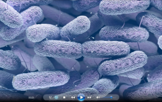 multi-drug-resistant-bacteria-found-on-iss-mutating-to-become-functionally-distinct