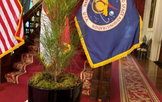 nasa-finds-new-homes-for-artemis-generation-of-‘moon-trees’-across-us