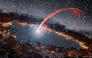 A Black Hole Disrupts a Passing Star