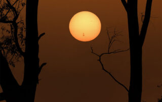 AR 3664 on a Setting Sun