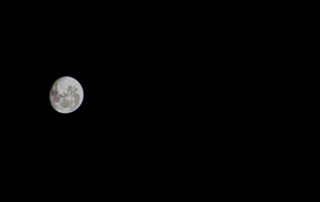good-night,-moon
