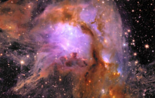 M78 from the Euclid Space Telescope