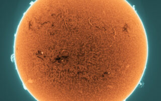 Prominences and Filaments on the Active Sun