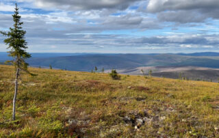 tundra-vegetation-to-grow-taller,-greener-through-2100,-nasa-study-finds