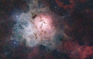 The Light, Dark, and Dusty Trifid