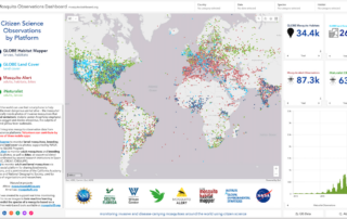 nasa-earth-science-education-collaborative-member-co-authors-award-winning-paper-in-insects