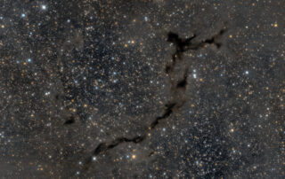 The Dark Seahorse of Cepheus