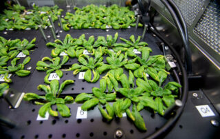 ¿por-que-cultivamos-plantas-en-el-espacio?
