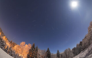 Geminid Meteors over a Snowy Forest