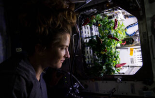 space-gardens