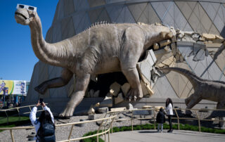best-of-2024:-dinosaur-prepared-to-safely-watch-solar-eclipse