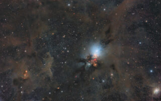 Stardust in the Perseus Molecular Cloud