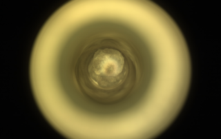 persevering-through-science