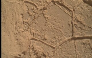 sols-4443-4444:-four-fours-for-february