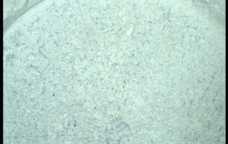 cookies,-cream,-and-crumbling-cores