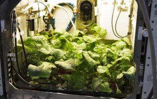 past-annual-highlights-of-results-from-the-international-space-station-publications