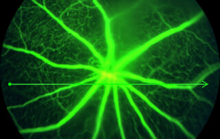 annual-highlights-of-results-2024:-key-takeaways,-introduction,-and-bibliometric-analyses
