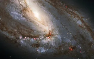 march’s-night-sky-notes:-messier-madness