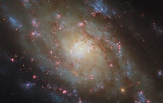 hubble-spies-a-spiral-in-the-water-snake
