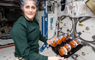 nasa-continues-bionutrients-space-fermented-food-research