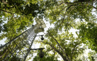 nasa-data-supports-everglades-restoration