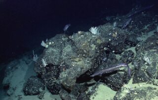 next-generation-water-satellite-maps-seafloor-from-space