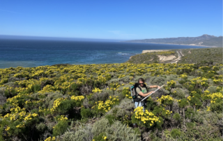 nasa-takes-to-the-air-to-study-wildflowers