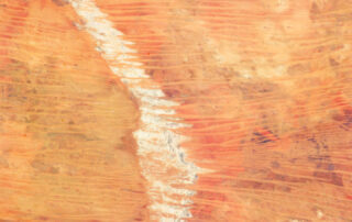 linear-sand-dunes-in-the-great-sandy-desert