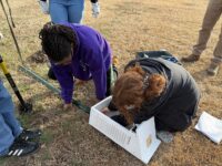 building-for-a-better-world:-norfolk-students-bring-stem-to-life-with-nasa-partnership