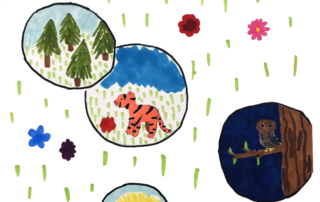 earth-science-showcase-–-kids-art-collection