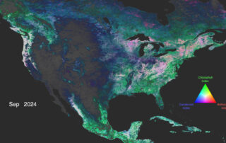 nasa’s-pace-mission-reveals-a-year-of-terrestrial-data-on-plant-health