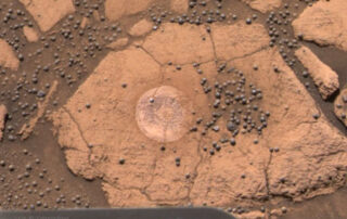 A Berry Bowl of Martian Spherules