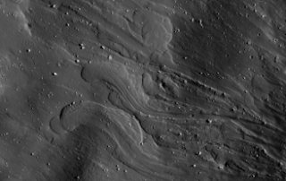 new-citizen-science-proposals-funded-in-2025