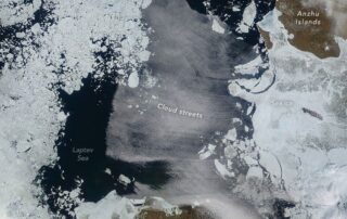 an-unrelenting-tule-fog