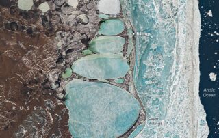 a-siberian-snowman-in-billings