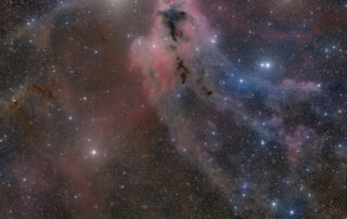 LDN 1622: Dark Nebula in Orion