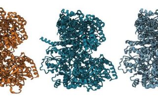 resurrecting-ancient-enzymes-in-nasa’s-search-for-life-beyond-earth