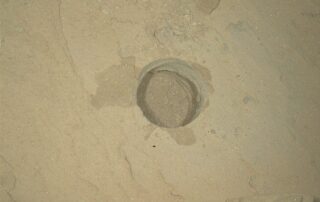 curiosity-blog,-sols-4886-4892:-ingenuity-and-perseverance,-curiosity-style