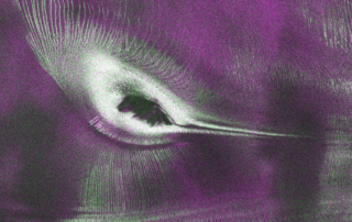 us-india-satellite-delivers-data,-reveals-‘hummingbird’-in-antarctica