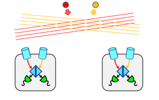 precision-astrometry-using-optically-independent-spacecraft-for-graviational-wave-detection