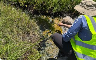 nasa-funded-research-finds-complex-life-defying-record-heat
